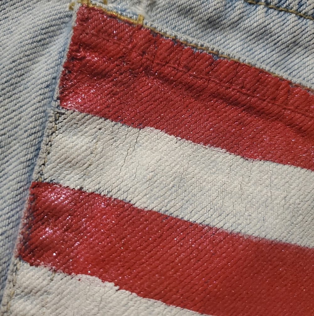 LizWear Distressed Americana Cutoff Shorts - Picture 11 of 16
